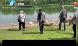 郑州小学爆料事件最新进展,真相逐步浮出水面，家长教师矛盾再引关注